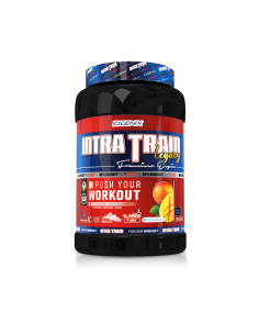 INTRA TRAIN LEGACY 1005G