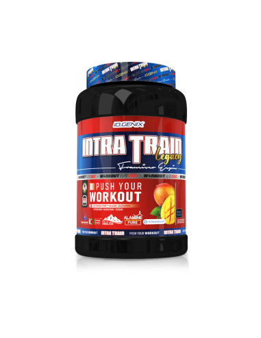 INTRA TRAIN LEGACY 1005G INTRA TRAIN LEGACY 1005G